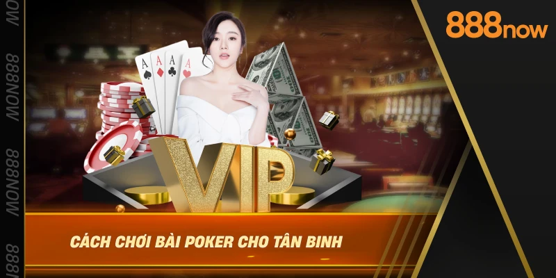 cach-choi-bai-poker-cho-tan-binh