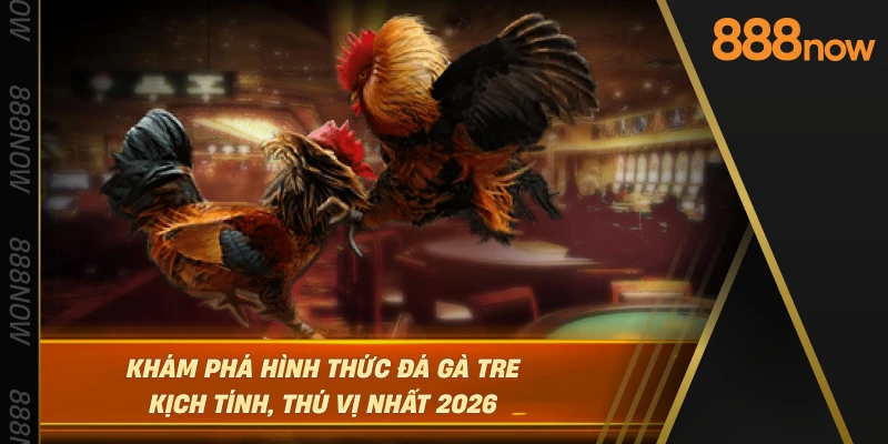 kham-pha-hinh-thuc-da-ga-tre-kich-tinh-thu-vi-nhat-2026