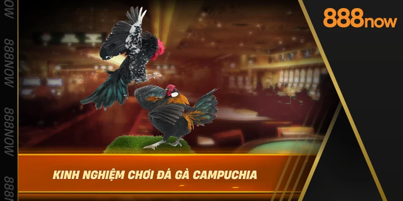 kinh-nghiem-choi-da-ga-campuchia