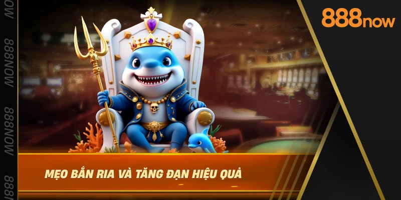 meo-ban-ria-va-tang-dan-hieu-qua