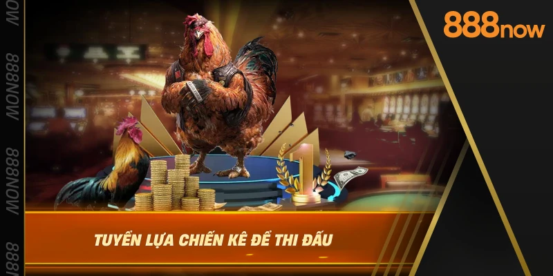 tuyen-lua-chien-ke-de-thi-dau